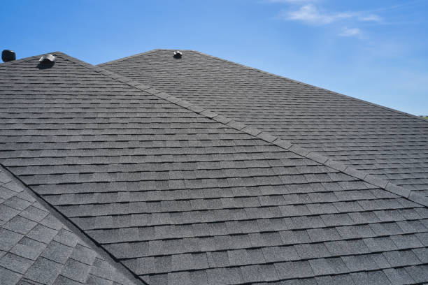 Best Roof Moss and Algae Removal  in Philipsburg, MT